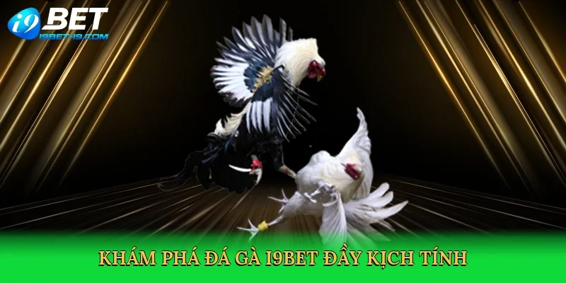 Khám phá đá gà i9bet đầy kịch tính