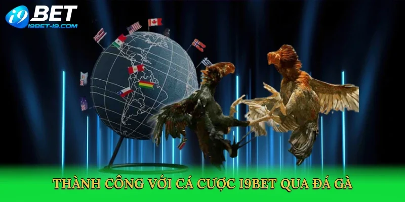 Thành công với cá cược i9bet qua đá gà