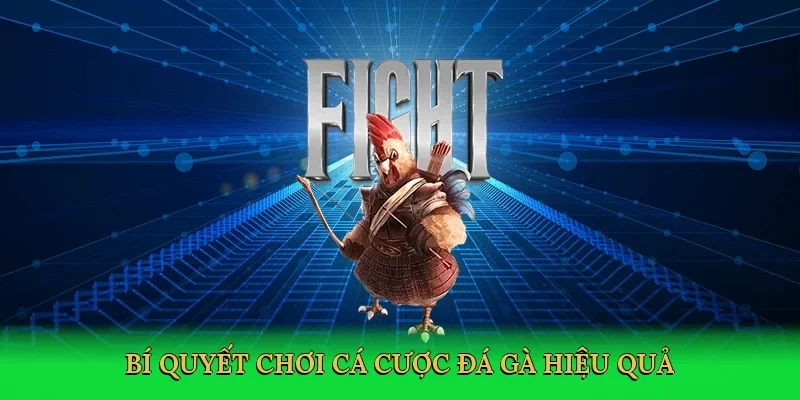 Bí quyết chơi cá cược đá gà hiệu quả