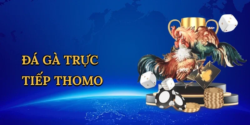 Đá gà trực tiếp thomo