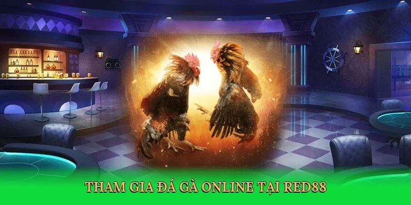 Tham gia đá gà online tại RED88